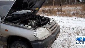 Как проверить уровень масла в двигателе по щупу LADA (Chevrolet Niva) Нива?