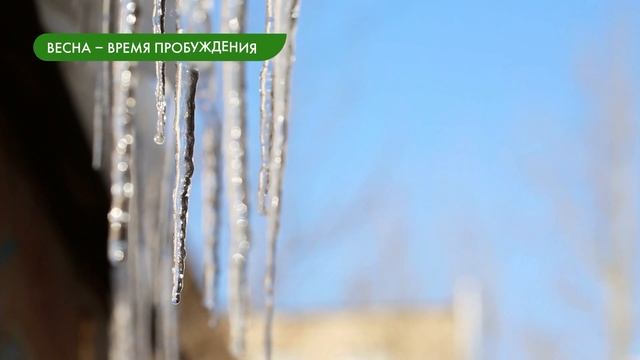 Сезонные изменения в жизни организмов