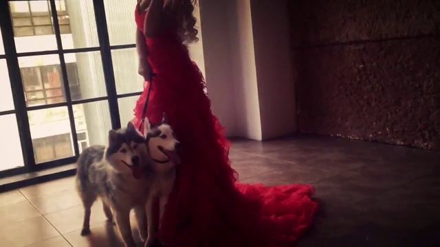 Фото день с Милыми Хаски
