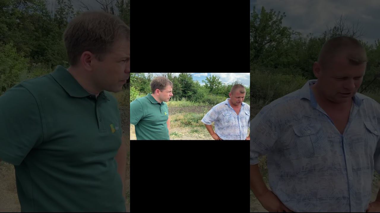 В какие участки поля нужно вносить больше удобрений? #сельскоехозяйство #точноеземледелие