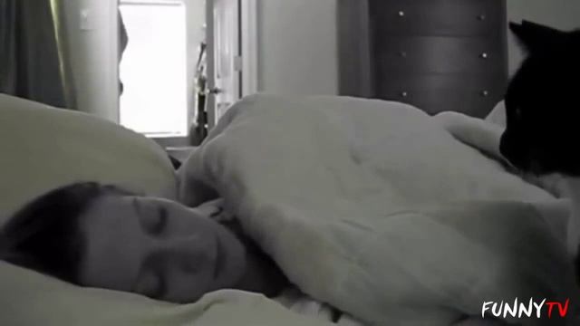 Самые лучшие будильники в мире! смотреть онлайн