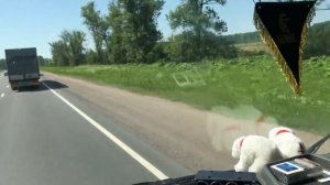 КАЛЯН86. Дальнобой Жизнь контейнеровоза (часть 1)