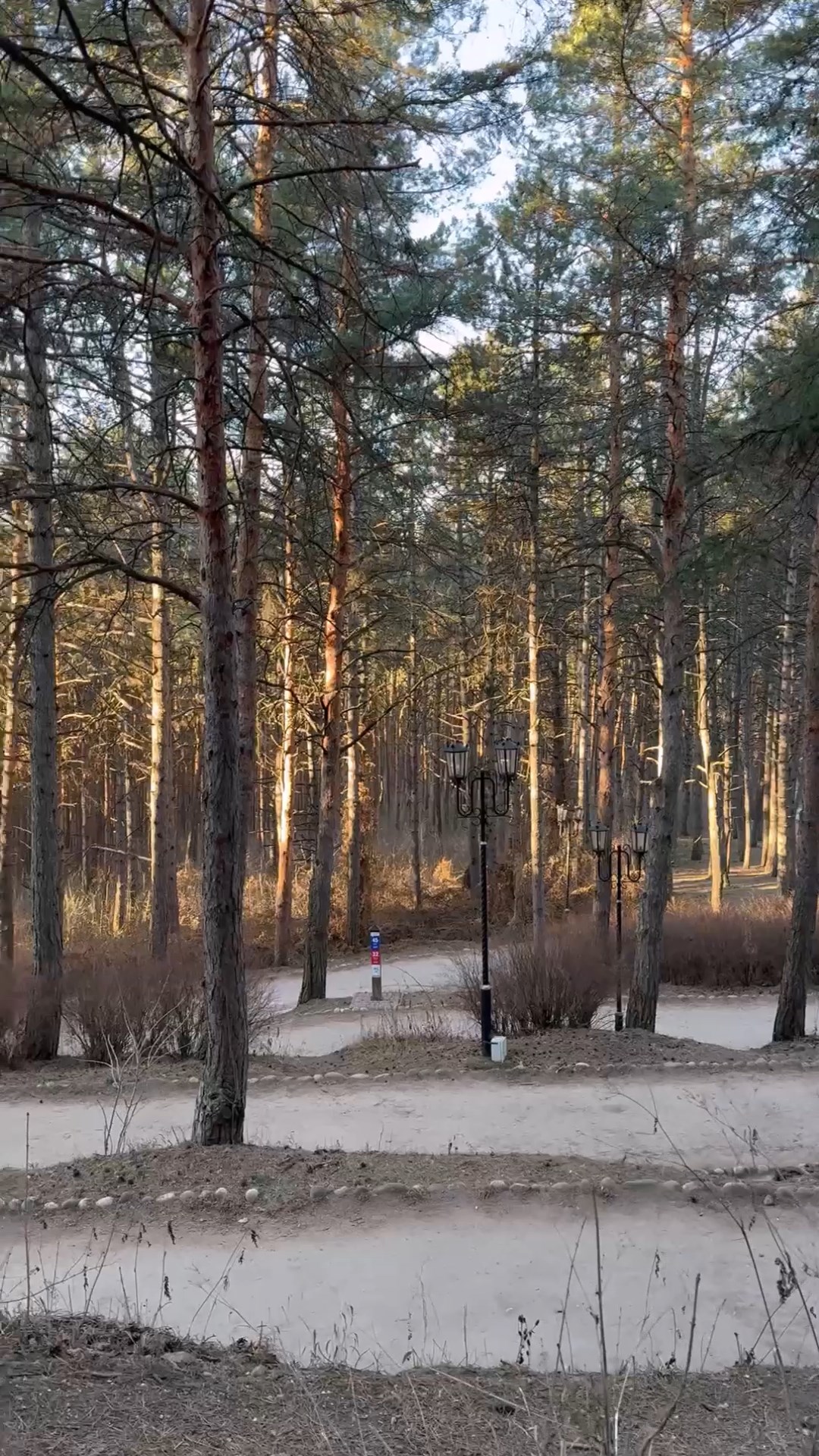 Рассвет в Кисловодском парке