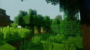 Minecraft: Sonic Ether's Unbelievable Shaders (waving grass and leaves WIP)