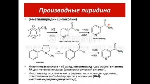 Гетероциклы