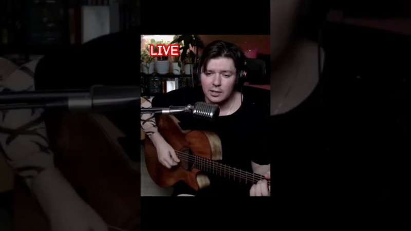 Сектор газа - Life (cover by @SvoiSvoim ) #guitar #cover #live #stream #russianrock