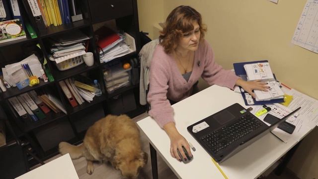Ученица с особыми потребностями. Как учиться в обычной школе ребёнку с синдромом Дауна?