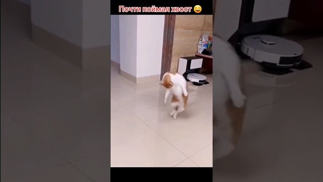 1000002216.mp4 смотреть онлайн