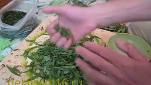 скручивание иван чая в две чашки (2017 год)