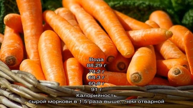 Калорийность, витамины и пищевая ценность моркови свежей и приготовленной смотреть онлайн