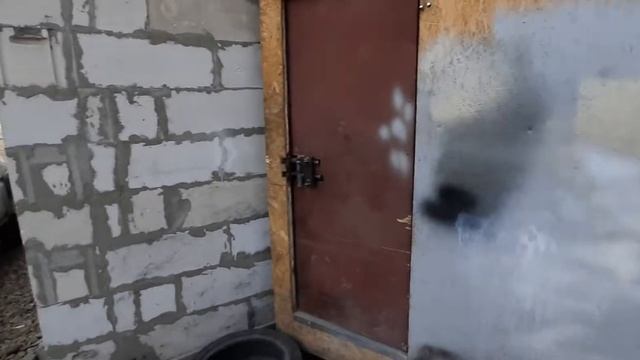 Мазда  21 переход? #маляркавгараже