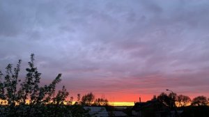 Рябина, рябина, несчастная я