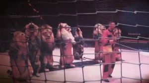 Дрессировщик львов Владислав Гончаров