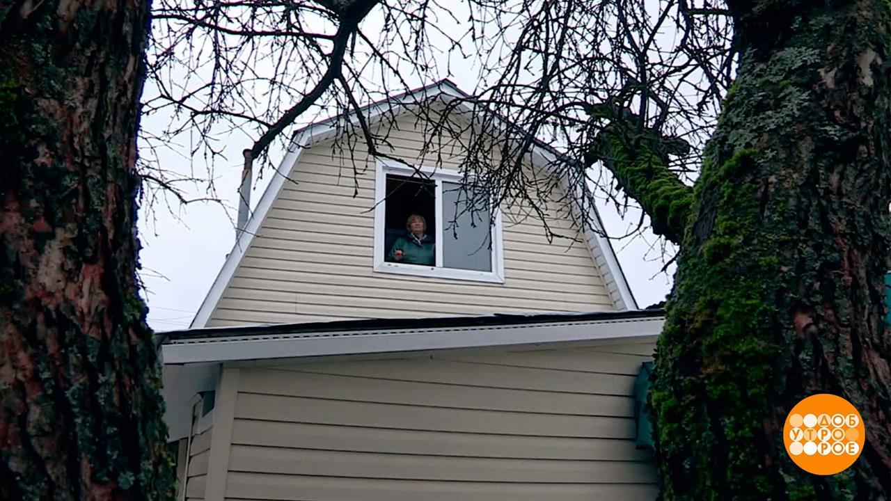 Дача в аренду. Какие варианты? Доброе утро. Суббота. Фрагмент выпуска от 08.04.2023