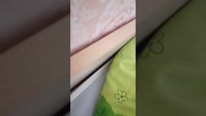 как надеть на кошку шлейку