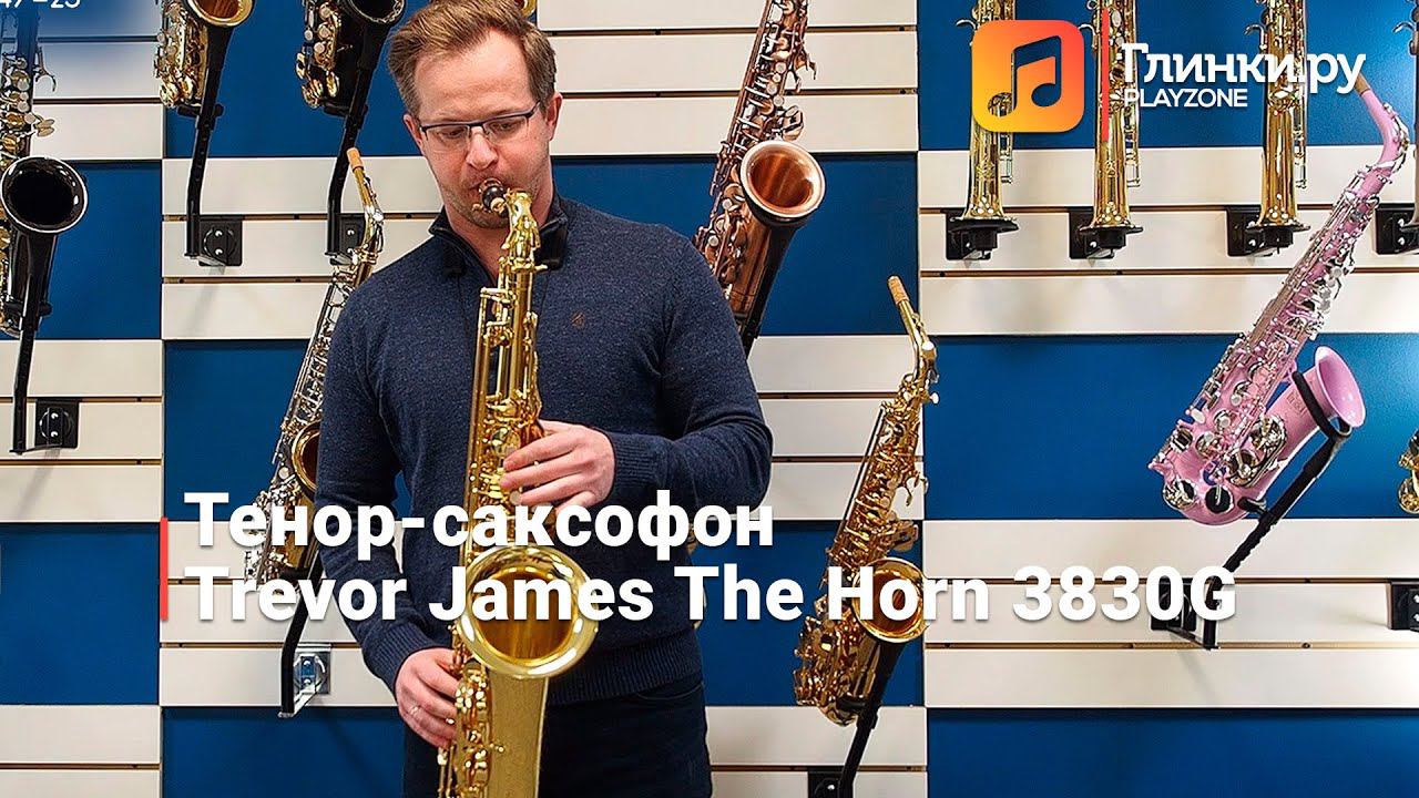 Тенор-саксофон Trevor James The Horn 3830G - Андрей Блинчевский - Глинки.ру PLAYZONE
