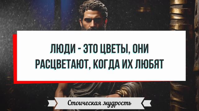 Стоическая мудрость: Правила жизни стоиков, которые нужно усвоить для счастливой жизни