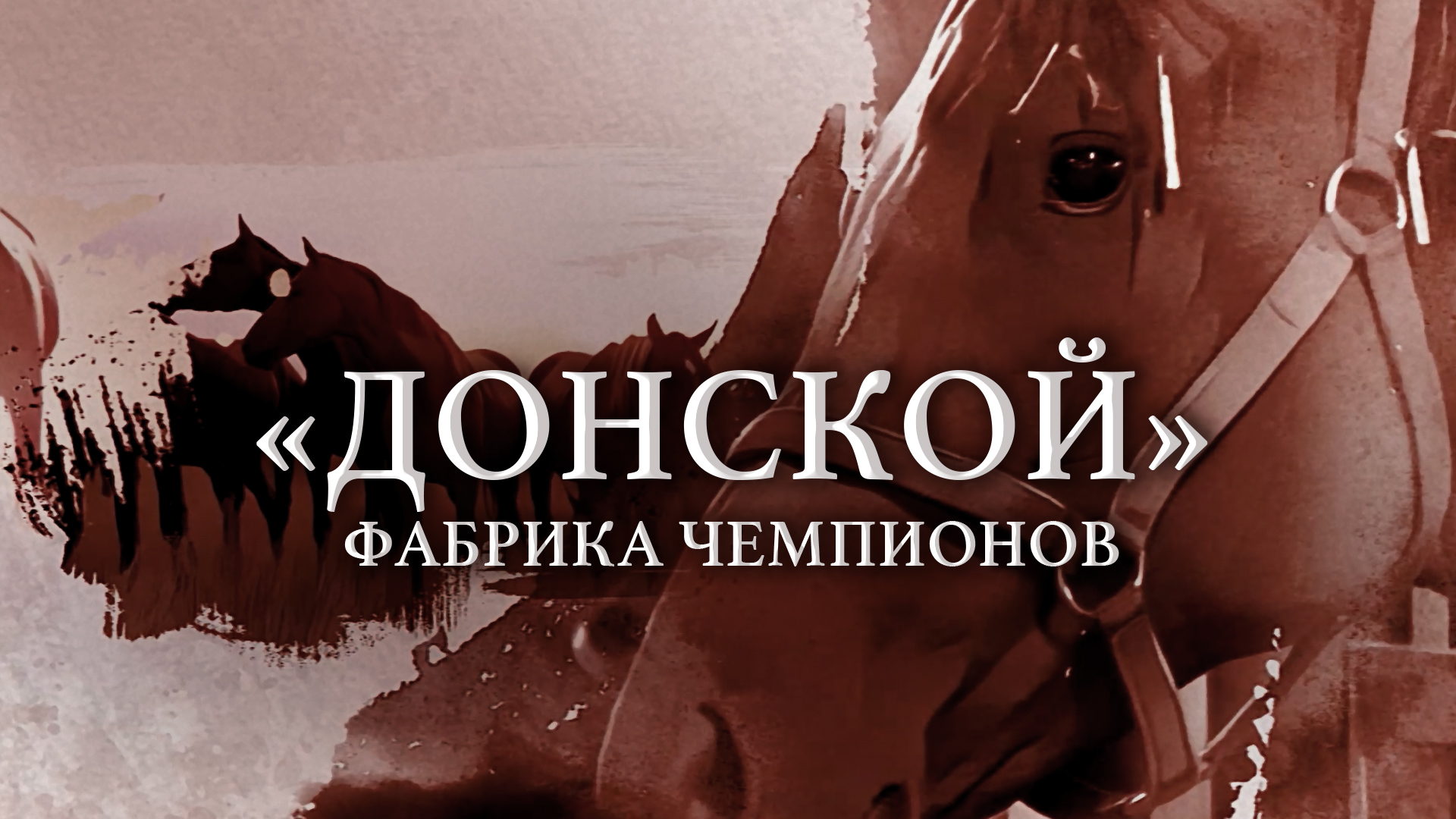 «Донской» — фабрика чемпионов | Документальный фильм