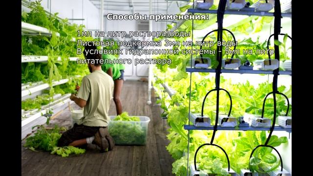 Средство Revive для защиты и восстановления растений Advanced Nutrients 0.25 0.5 и 1 литр