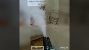 Обработка квартиры от запаха кошачьей мочи