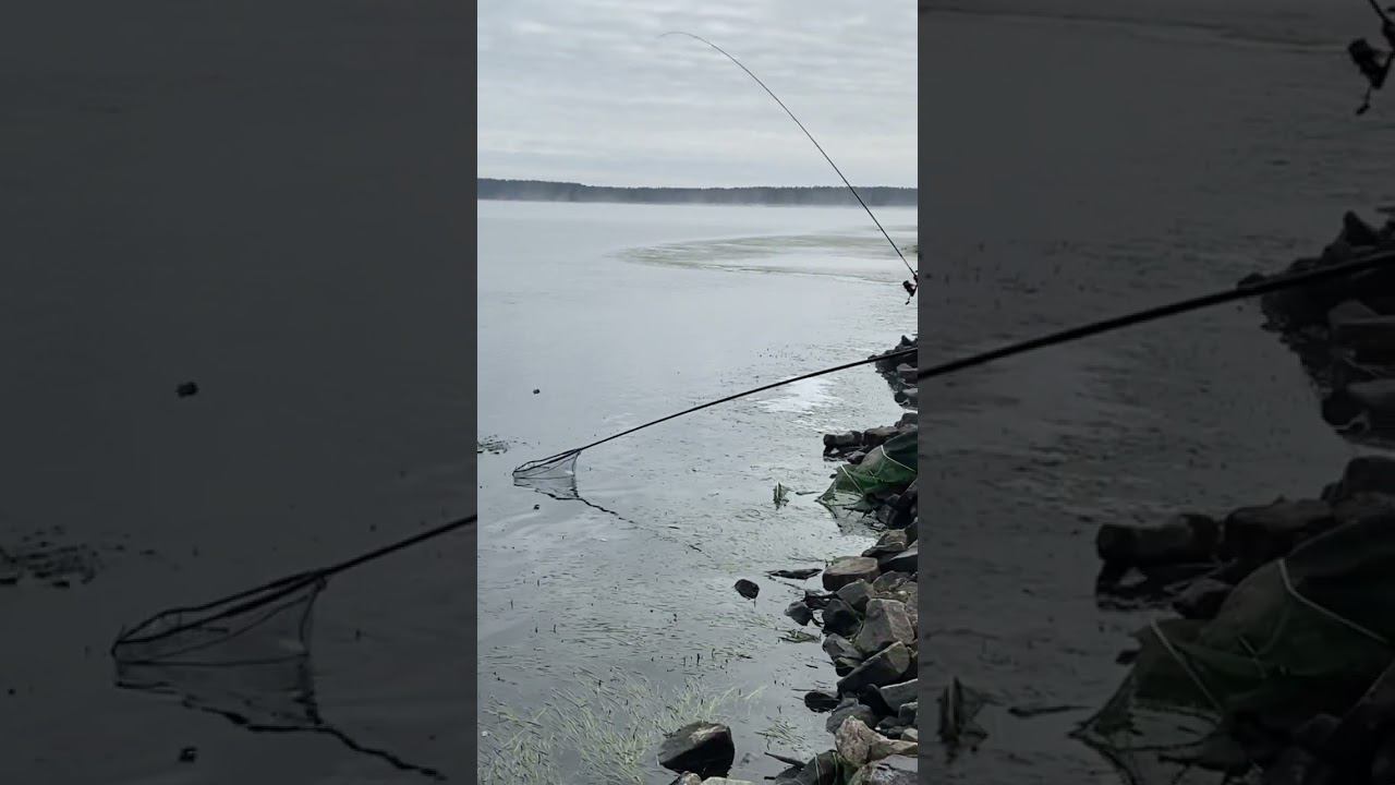 ПЕРВАЯ ПОКЛЁВКА после ДОЛГОЙ ЗИМЫ на ФИДЕР смотреть онлайн