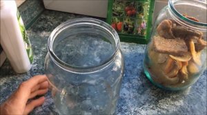 КАК СЭКОНОМИТЬ НА БИОПРЕПАРАТАХ / ВЫРАЩИВАНИЕ ТРИХОДЕРМЫ / ТРИХОДЕРМА ВЕРИДЕ часть1