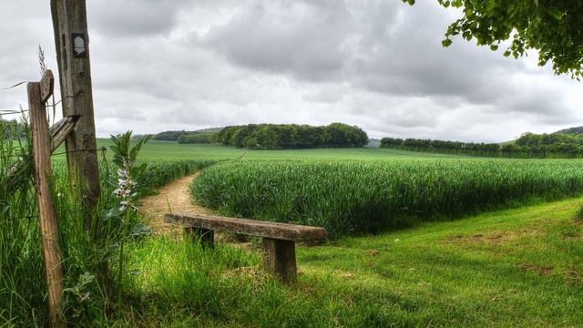 "Я пил в жару у друга воду..." С. Викулов - В. Громов. смотреть онлайн
