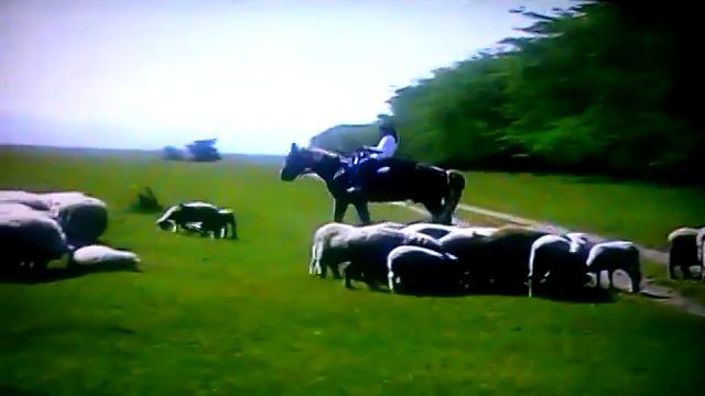 МАГАРБИ СЕИТОВ-ЯЗЛЫК смотреть онлайн