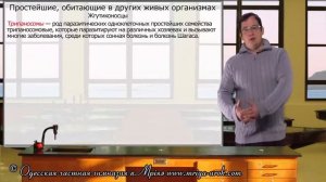 Простейшие, обитающие в других живых организмах