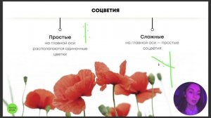 БИОЛОГИЯ ЕГЭ - Соцветия и строение цветка