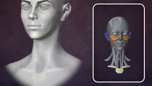 Анатомия для художников за 1 час | 3D скульптинг для начинающих