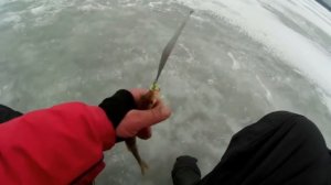 Окунь на Блесну Финский Залив часть1. Perch lure Gulf of Finland