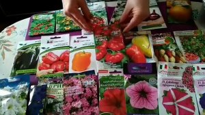 Моя коллекция семян.1000 сортов и видов?