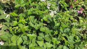 Колодец. Оформление.#колодец#штукатурка#штукатуркасвоимируками#сделайсам