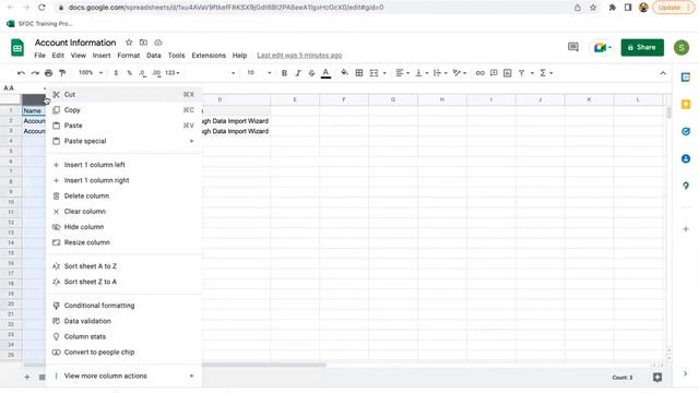 58 Data Import Wizard | Salesforce Administrator Training Videos by Sanjay Gupta