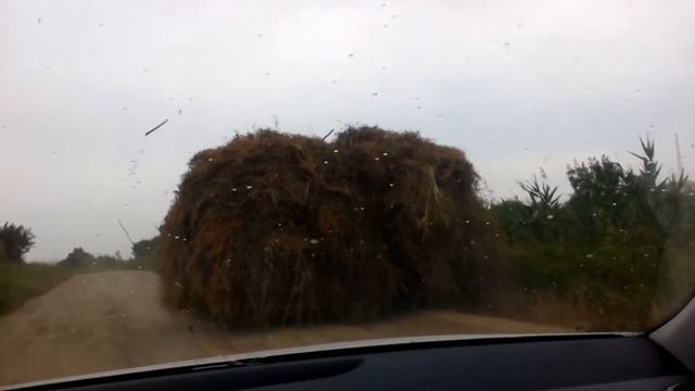 Сено едет само!!! смотреть онлайн