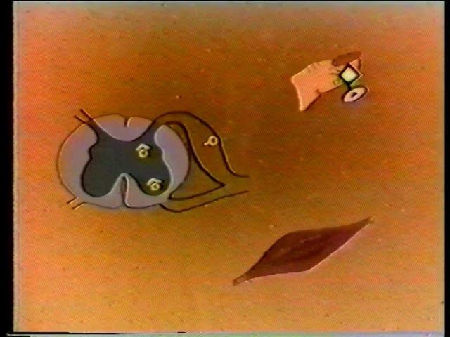 Анатомия и физиология человека. Нервная система. смотреть онлайн