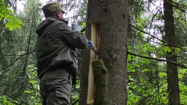 #Борть #DIY #Шульган-Таш. Изготовление борти для пчел сотрудниками из заповедника Шульган-Таш 2(2) смотреть онлайн