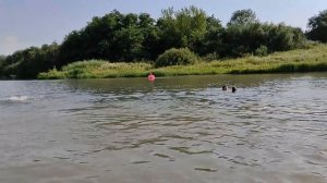 Купаемся в пруду