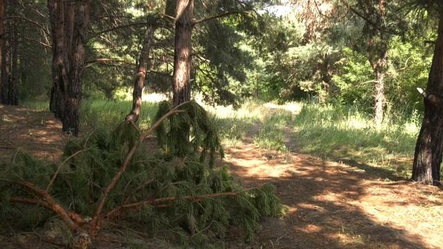 Стрілянина на Барвінківщині: пораненому відпочивальнику ампутували ногу смотреть онлайн