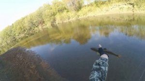 Осенняя кунджа. Ловля кунджи вблизи дома. Подводная съемка. Сахалинская рыбалка & Sakhalin fishing