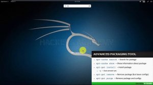 013 Добавление и удаление программ (обновление ПО) в Kali Linux | Кали Линукс