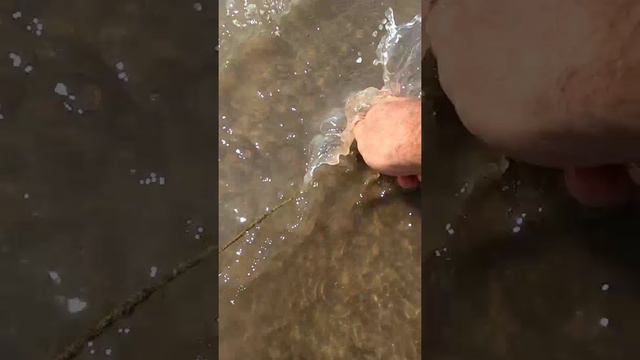 Артефакт №149