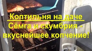 76. КОПТИЛЬНЯ на даче. РЫБА - вкуснейшее копчение скумбрии и сёмги.