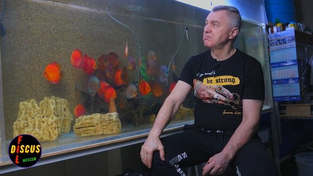 ЭТО ВАЖНО ЗНАТЬ!!! Для содержания здорового дискуса и не только! смотреть онлайн