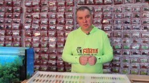 Fanatik Baits Larva Review