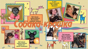 Собака крошка | The dog-baby | ProShow Producer