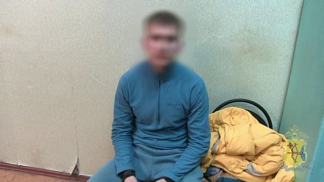 В Кирове полицейские задержали подозреваемого в совершении дистанционного мошенничества