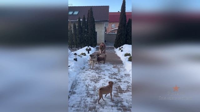 Так встретили собаки Ольгу Орлову после отдыха в Сочи!