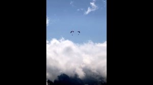 Дотянись до неба